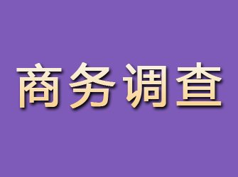 确山商务调查