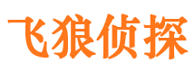 确山市私家侦探